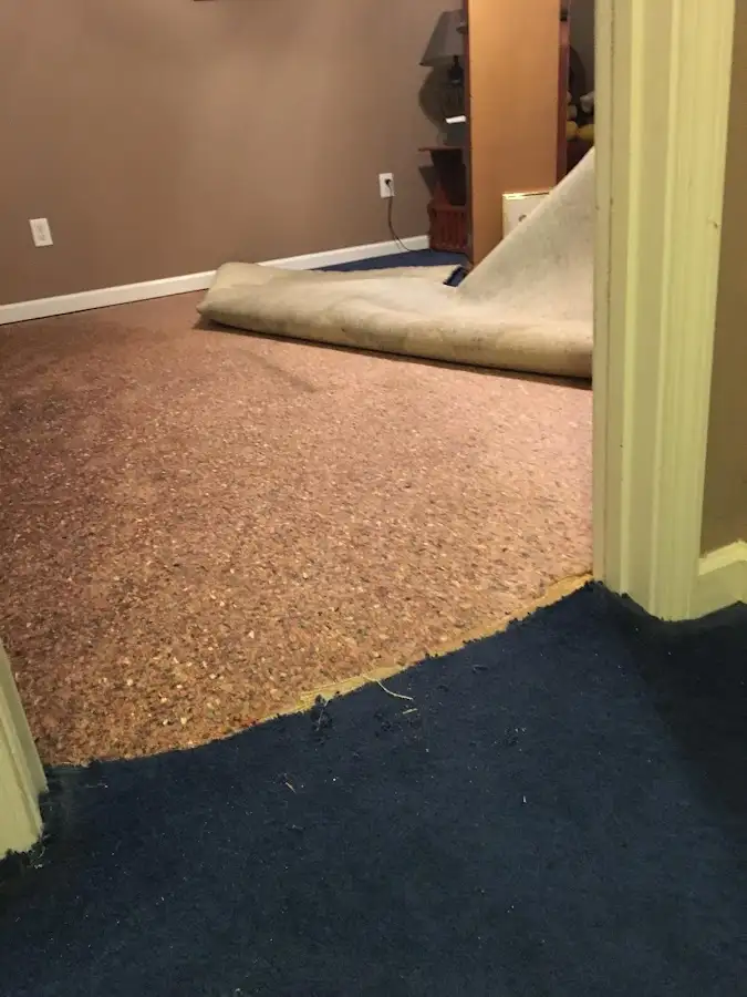 Carpet pad removal revealing water damage during Drying & Dehumidification in Millcreek