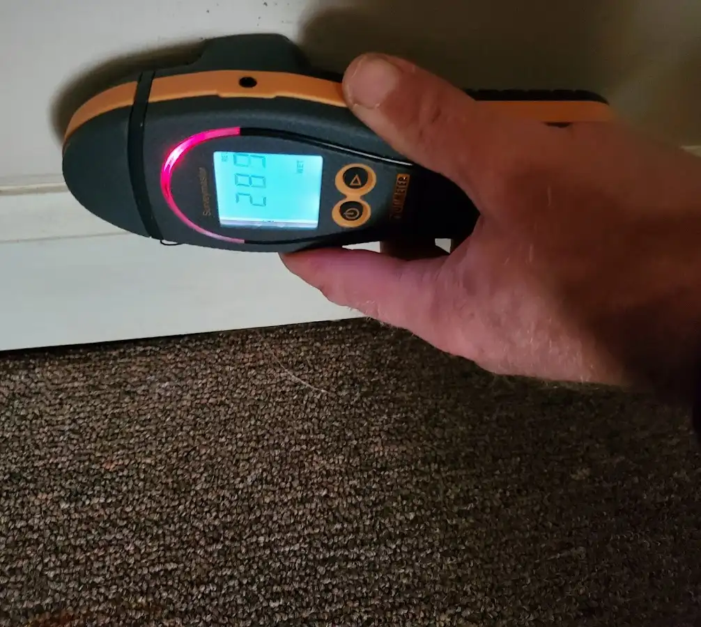 Moisture detection at baseboard during Sewage Cleanup & Sanitation in Millcreek